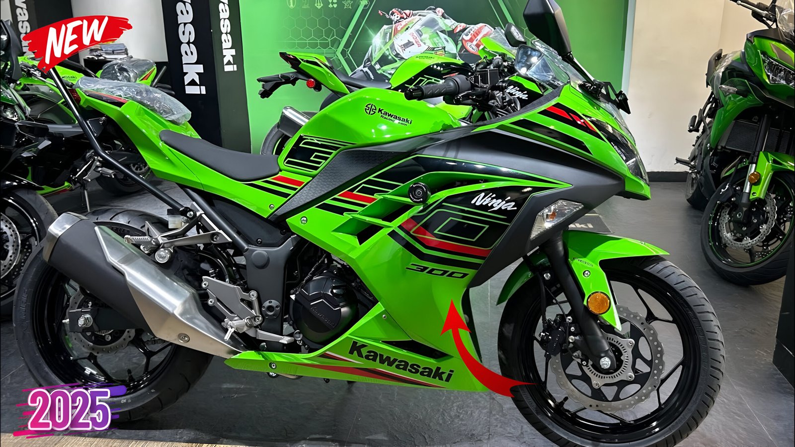 Ride with Power and Style on the Kawasaki Ninja 300